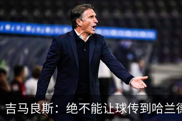吉马良斯：绝不能让球传到哈兰德脚下，希望对位厄德高时能占上风
