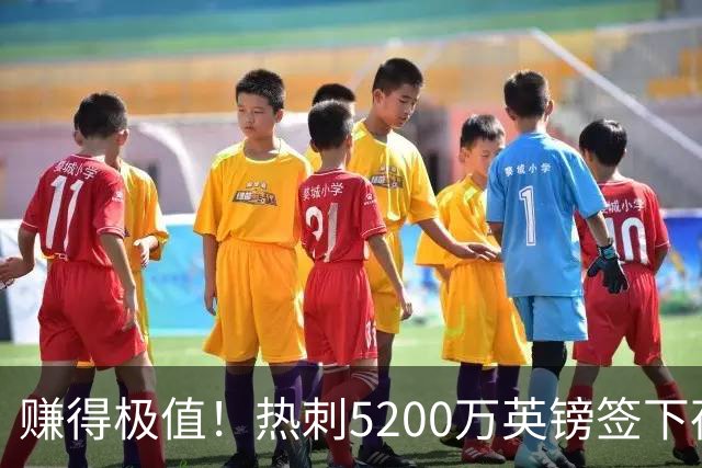 赚得极值！热刺5200万英镑签下荷兰国脚，后防线增强新赛季蓄势待发